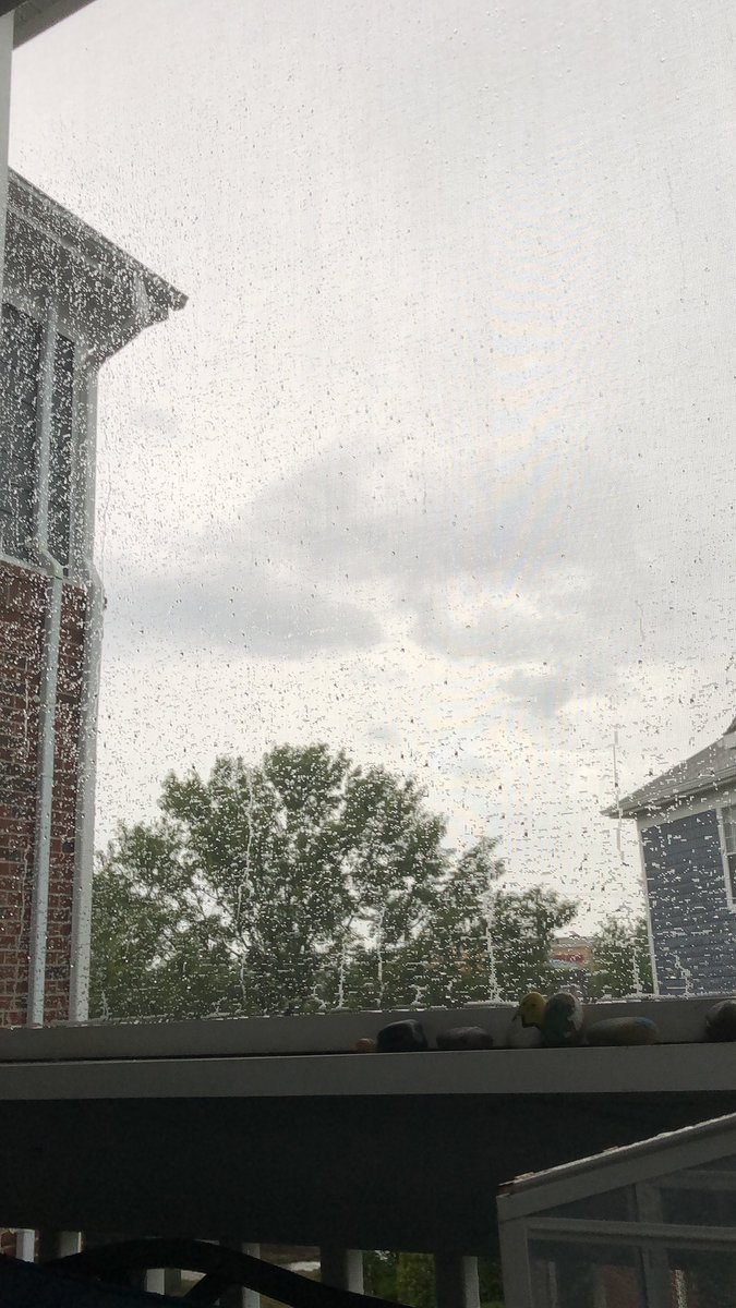 “Nothing finer than to be in Carolina”…sitting on your screened porch during a Summer rainstorm. ❤️