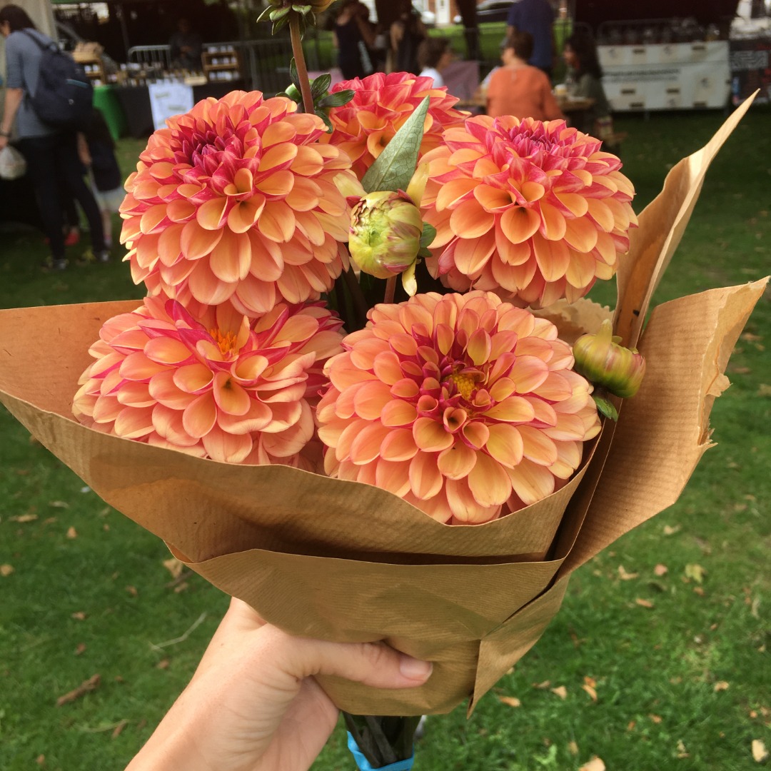 The Spread tweet media