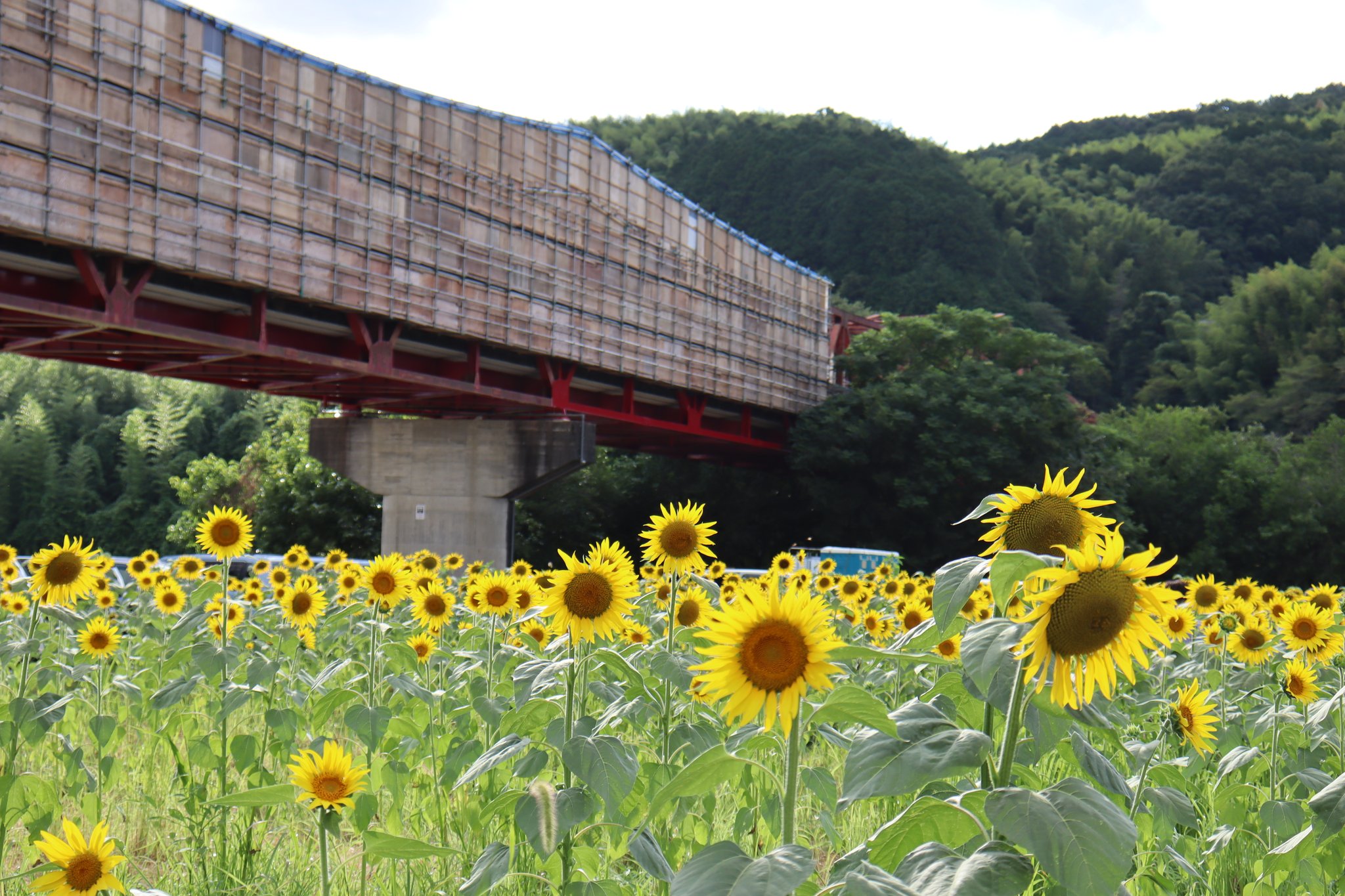 Kさん Kk777s Twitter