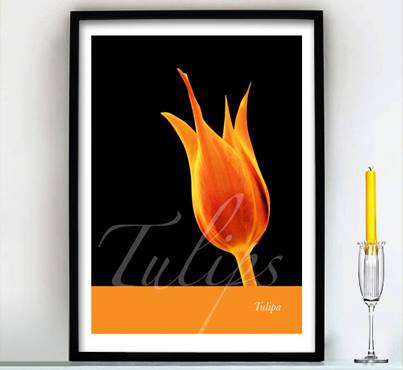 postermode's tweet image. POSTERS, BUSINESS CARDS, BIRTHDAY CARDS ALL CUSTOM MADE FOR YOU AND YOUR VENUE AND BUSINESS

CHECK OUT POSTERMODE.COM