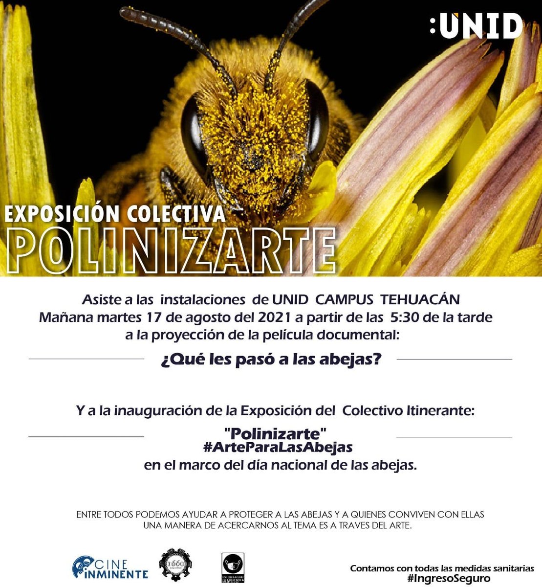 Abejas_Doc's tweet photo. La exposición #Polinizarte sigue su itinerario hacia la UNID, campus #Tehuacán.
Les invitamos a visitarla con la proyección de nuestra película en el #DíaNacionalDeLasAbejas 🐝💛 https://t.co/PG5hCiVqkS