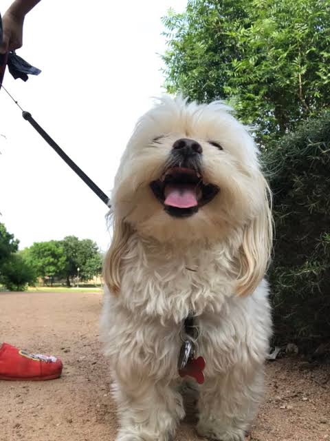 David James Jones (@davidjamesjone3) on Twitter photo 