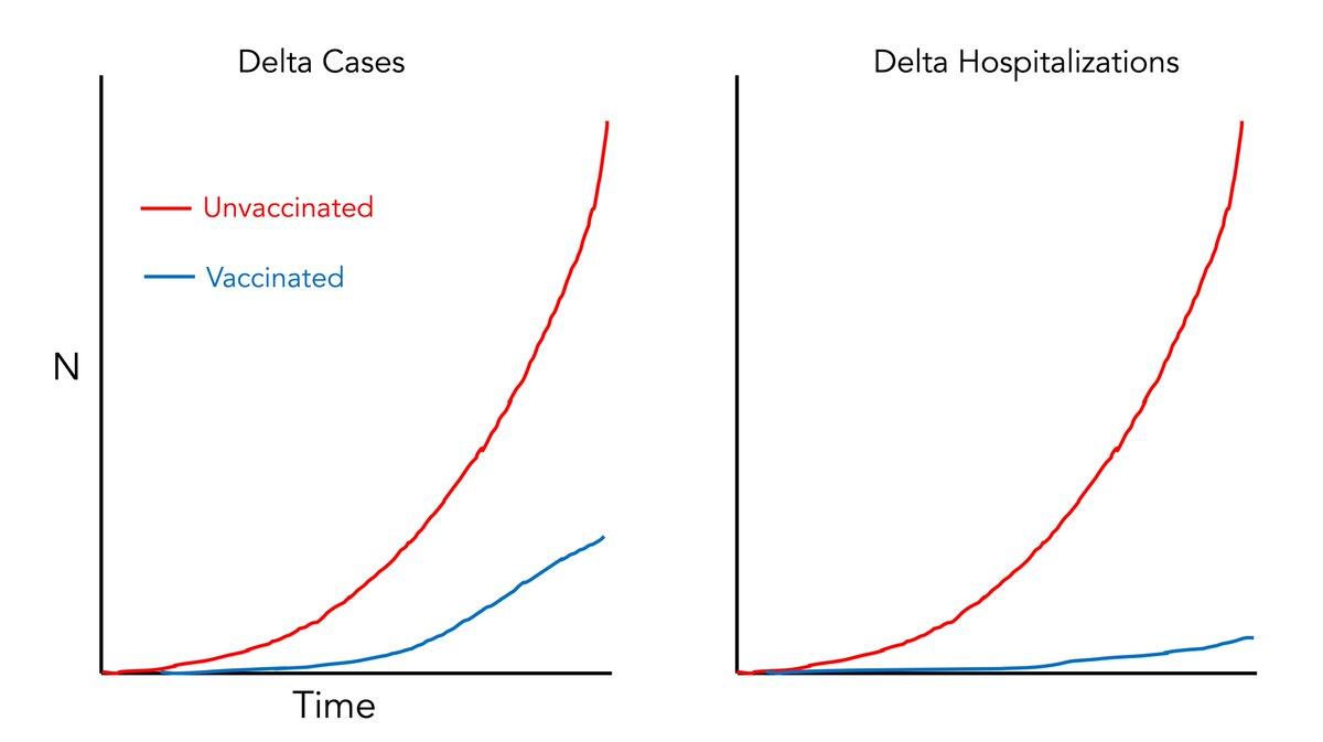 EricTopol's tweet photo. What is the Delta &amp; vaccination story?
We don't have US data but it probably looks something like this
1. The risk of infections &amp; hospitalization have soared for unvaccinated
2. While breakthroughs have gotten more common, the absolute and relative benefit for 💉💉 is INCREASING https://t.co/RDameJ7Z31