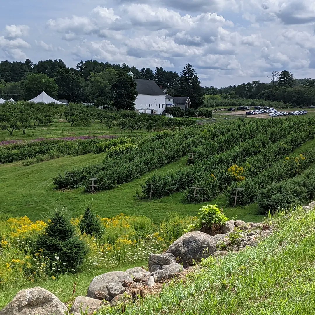 Farm day 
#smolakfsrm