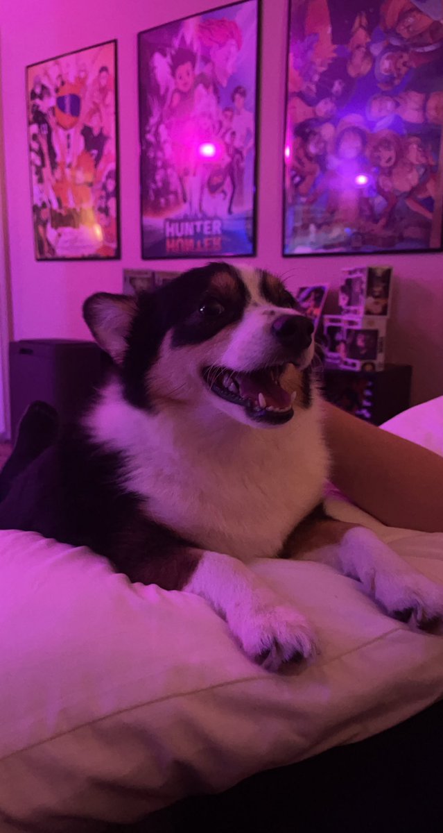 widoweverywhere's tweet photo. RT for good luck &amp; good vibes https://t.co/NSRv2s2uhD