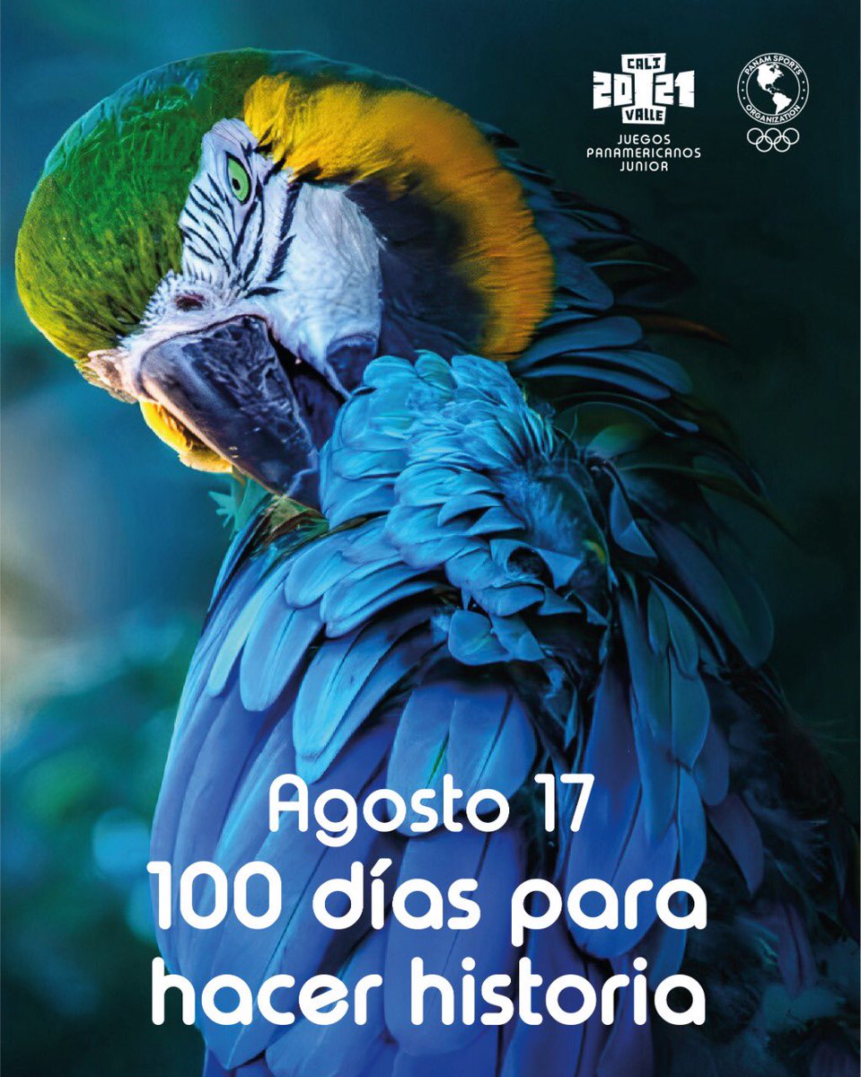 Debatestv's tweet photo. Este martes 17 de agosto, a cien días de los 1ros Juegos Panamericanos Junior, Cali-Valle 2021, se presentarán las medallas oficiales que recibirán los deportistas; además Constructora Meléndez entregará el Monumento “Cali Ciudad Deportiva” @IvettPiedrahita  @CaliValle2021 https://t.co/eAhDGGXdhC