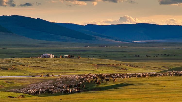 Арвайхээр. Архангай Монголия. Арвайхээр Монголия. Монголия ландшафт. Архангай Монголии фото.