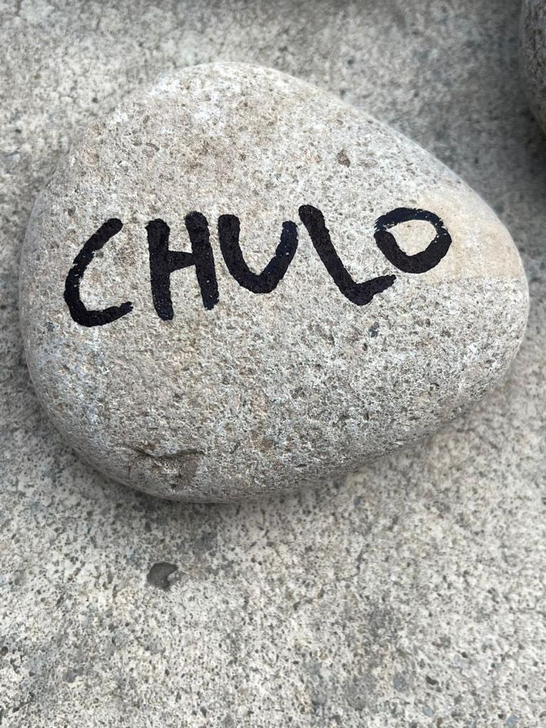 Guillodietrich's tweet photo. Dolor infinito por Chulo. El mismo que debe sentir cada uno de los seres queridos de los 110.000 argentinos que ya no están más entre nosotros.
#LaMarchaDeLasPiedras https://t.co/4iohwbne7V