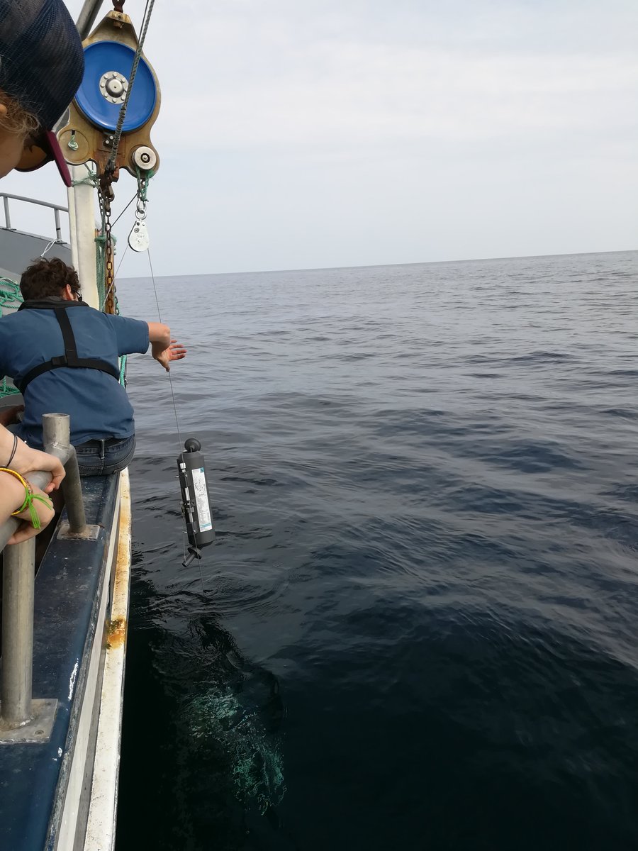 MunOceanography's tweet photo. Excited to be doing fieldwork again, deploying acoustic moorings, drifter buoy and collecting pH samples - great day with whales and good weather (@aliceaffatati Khaled Mohsen Luise Zeigermann Mark Downey @NBronikowski @lmoro_) #oceanography #oceanacoustics #oceanph #fieldwork https://t.co/hIjAugAYUg