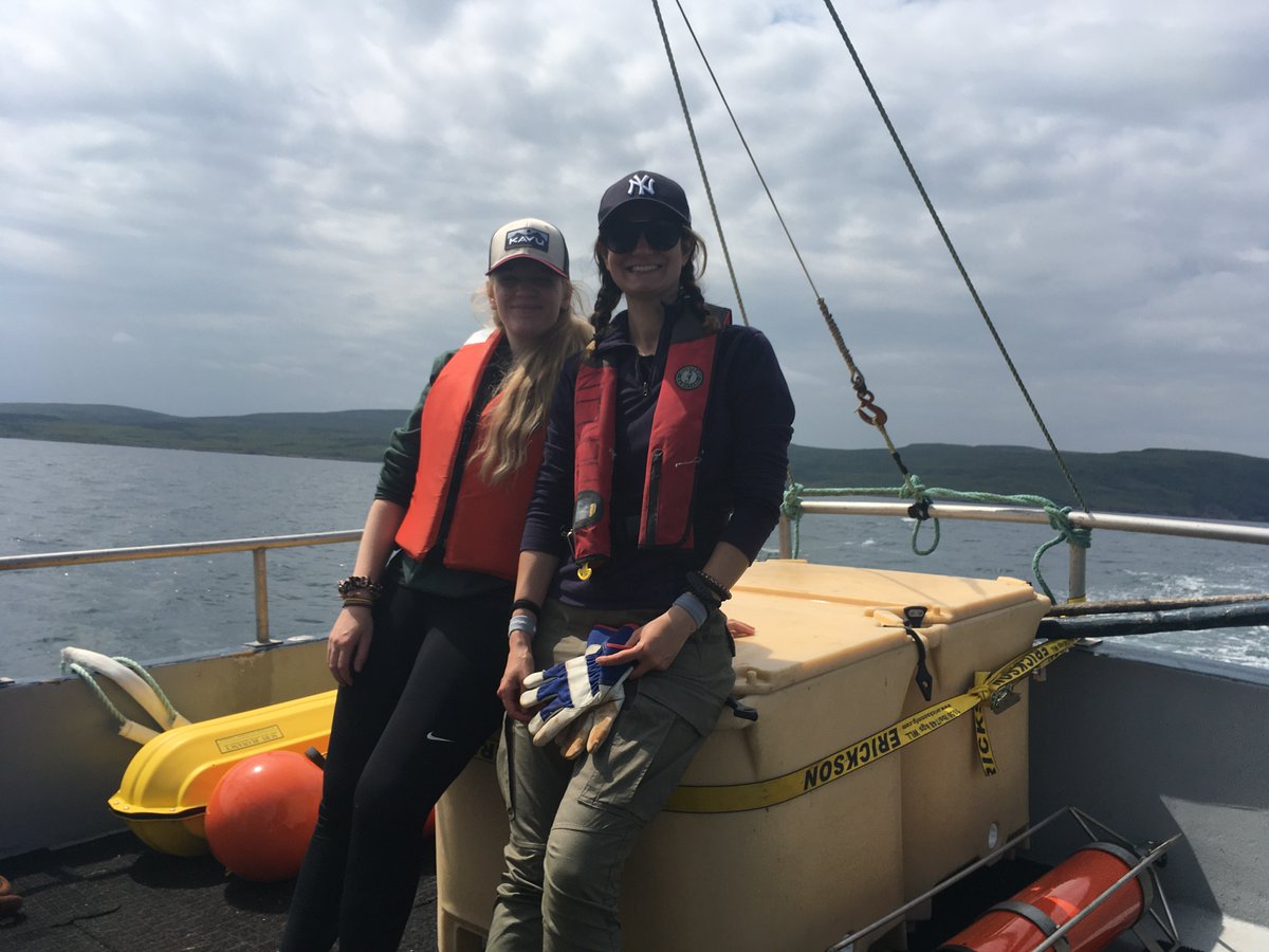 MunOceanography's tweet photo. Excited to be doing fieldwork again, deploying acoustic moorings, drifter buoy and collecting pH samples - great day with whales and good weather (@aliceaffatati Khaled Mohsen Luise Zeigermann Mark Downey @NBronikowski @lmoro_) #oceanography #oceanacoustics #oceanph #fieldwork https://t.co/hIjAugAYUg