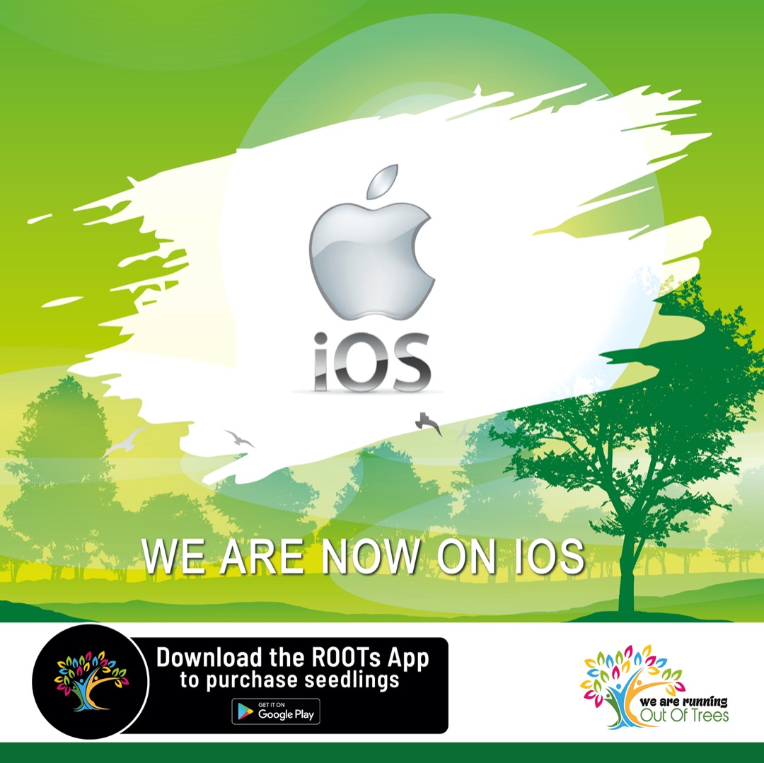 For our IOS people remember to join the campaign and plant a tree. Our ROOTS app is now available in the App Store. Download the app and donate only 1500Ugshs today to plant a tree. Kaasa budo katono nnyo. #RunningOutOfTrees