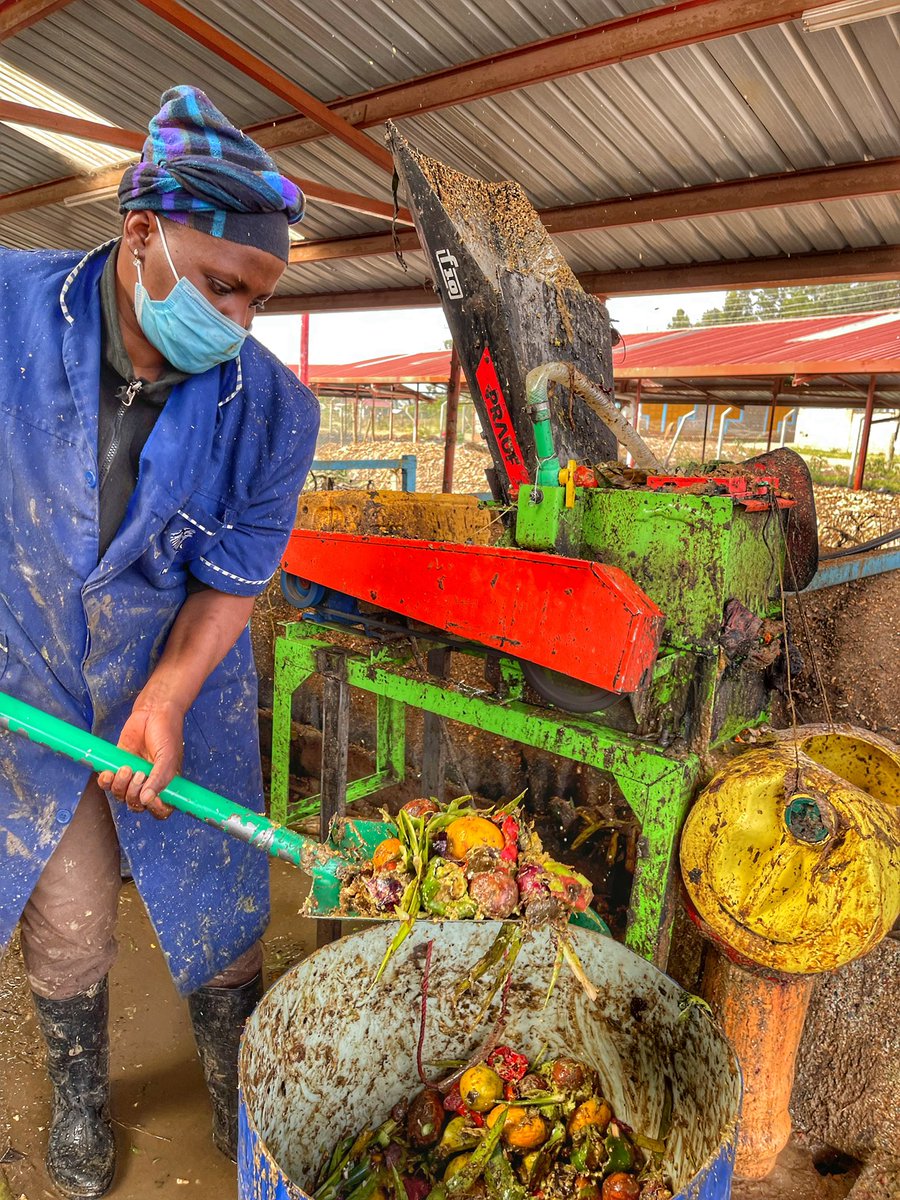 paulakahumbu's tweet photo. .@KOT_Loyals 3/4 Nyawira grinds bio waste fm Ngong market to feed 2 giant @Flexi_Biogas digesters that produce equivalent of 3 13kg/d LPG.
#WasteToEnergy
#MunicipalWaste
#ClimateSmart
#CircularEconomy
#ClimateAfrica
#ClimateKenya
#SolidWasteAndClimate
#CoP26
#ZeroLandfill https://t.co/VwC5gXcB74