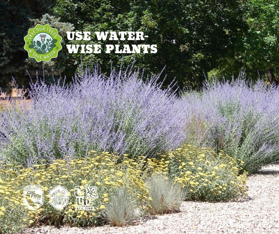 Save trees &amp; save water! Here's a water-saving tip. More @ catree.us/water

USE WATER-WISE PLANTS
Cali has wet winters &amp; dry summers. Select trees &amp; plants that evolved in similar conditions &amp; require little supplemental water. 

#savewatersavetrees #savewaterfortrees