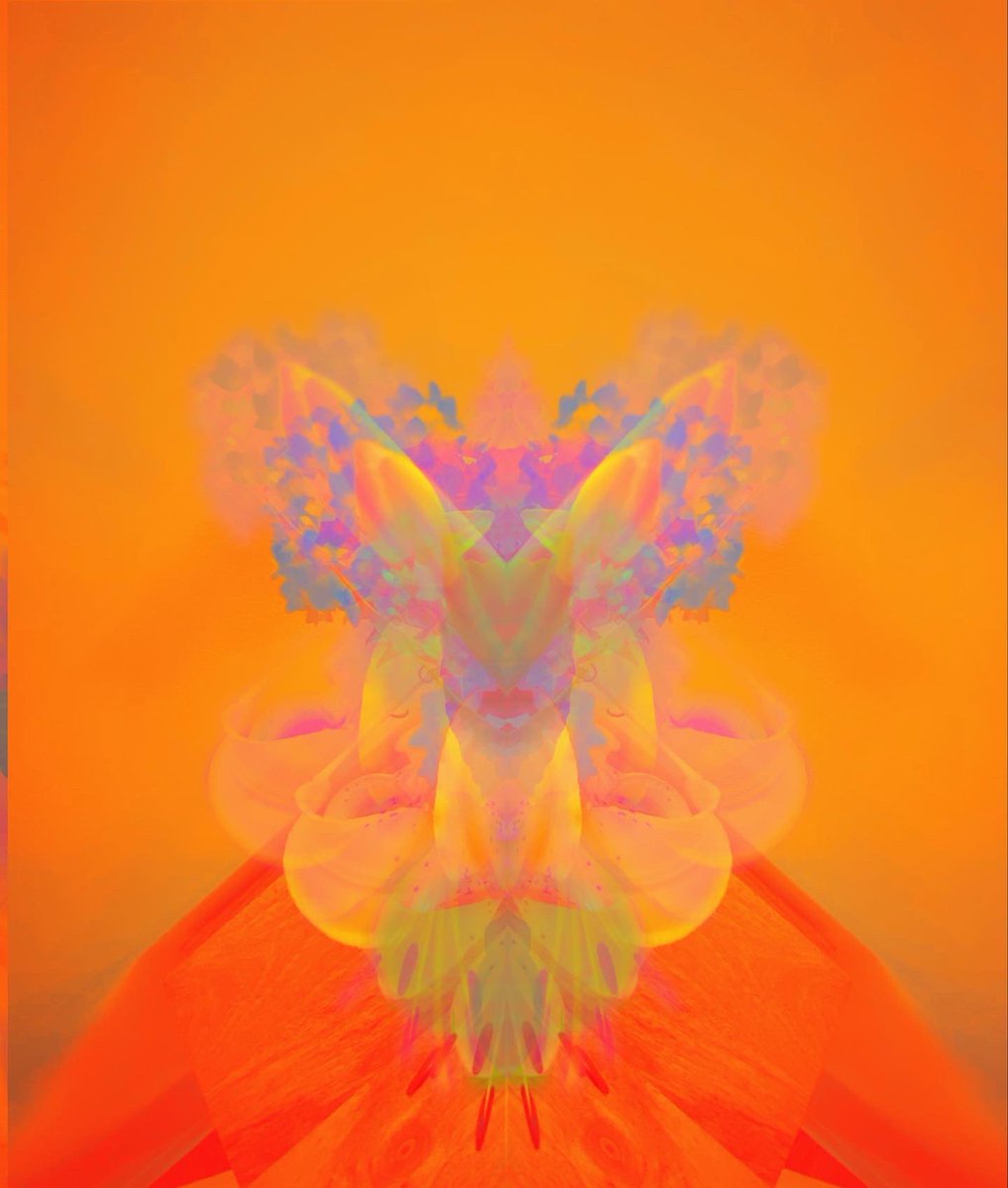 jedddill23's tweet photo. #trippy #photoshop https://t.co/vzsyLvuEme
