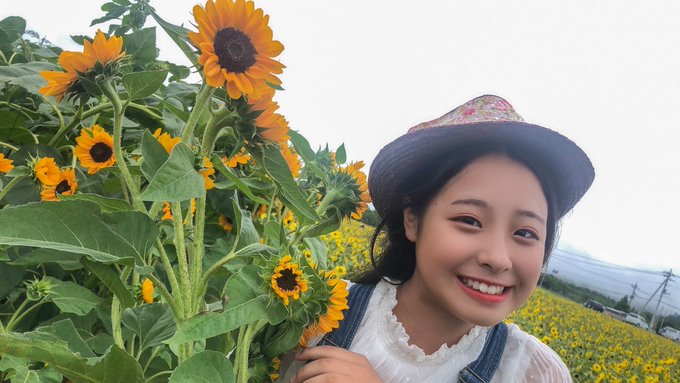 MihiroのTwitter画像21