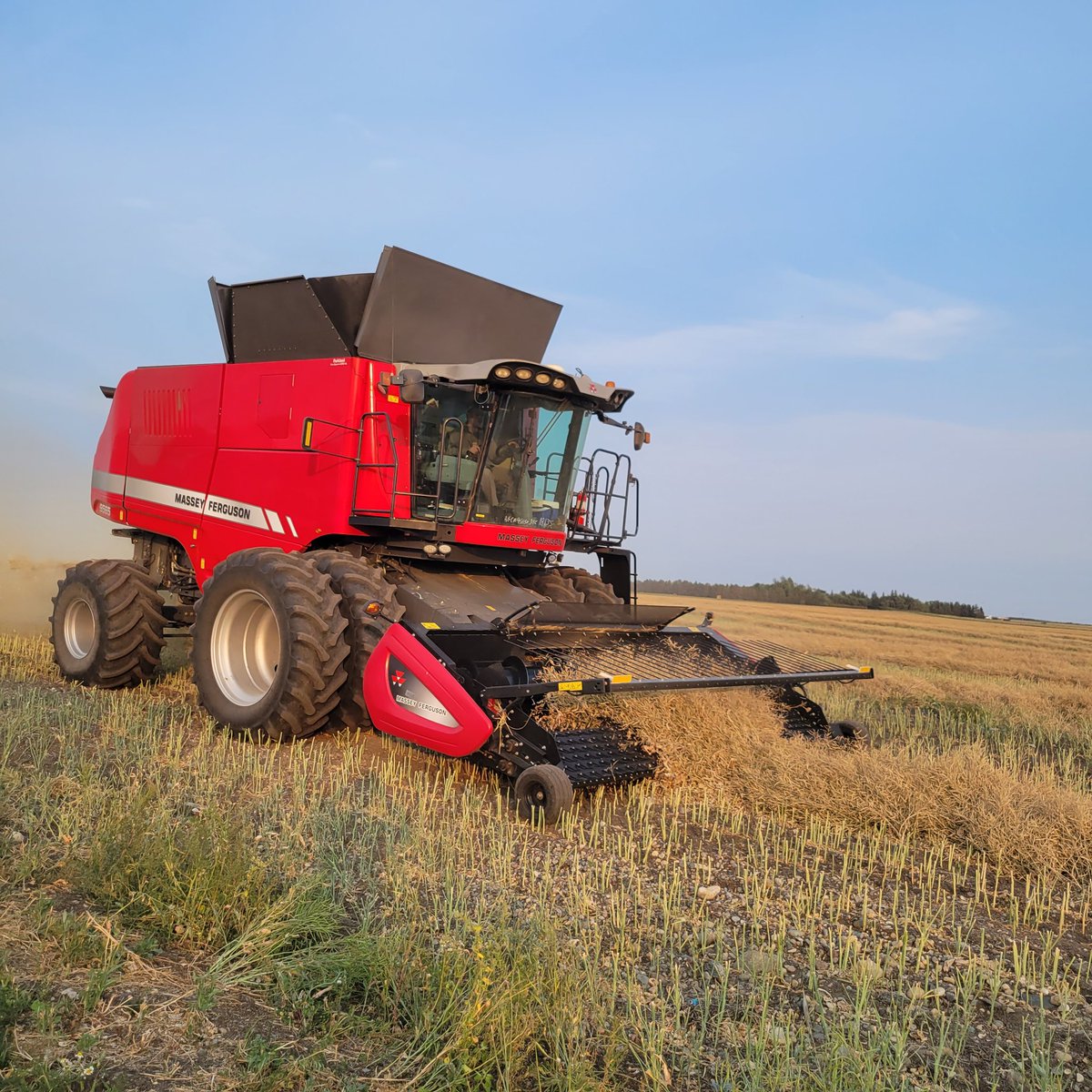 FarmerGreggs's tweet photo. @rorygregoire13 Ripping off canola tonight #NWSask https://t.co/Cd2mMADRi1