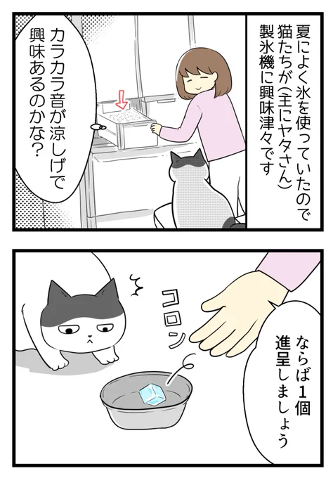 予想通りではあったけど目の前で起こると呆然としちゃうんだ  #絵日記 #猫のいる生活 #コミックエッセイ 演技がうまい 