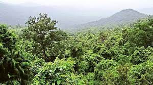 ErikSolheim's tweet photo. Hurrah!
Indian 🇮🇳 state of Telengana is world leader in aforrestation. Rapid increase in green cover in the state. Impressive urban parks. Huge benefits for wildlife and nature. A better environment  for people. Impressive! https://t.co/BM1TQr1joN
