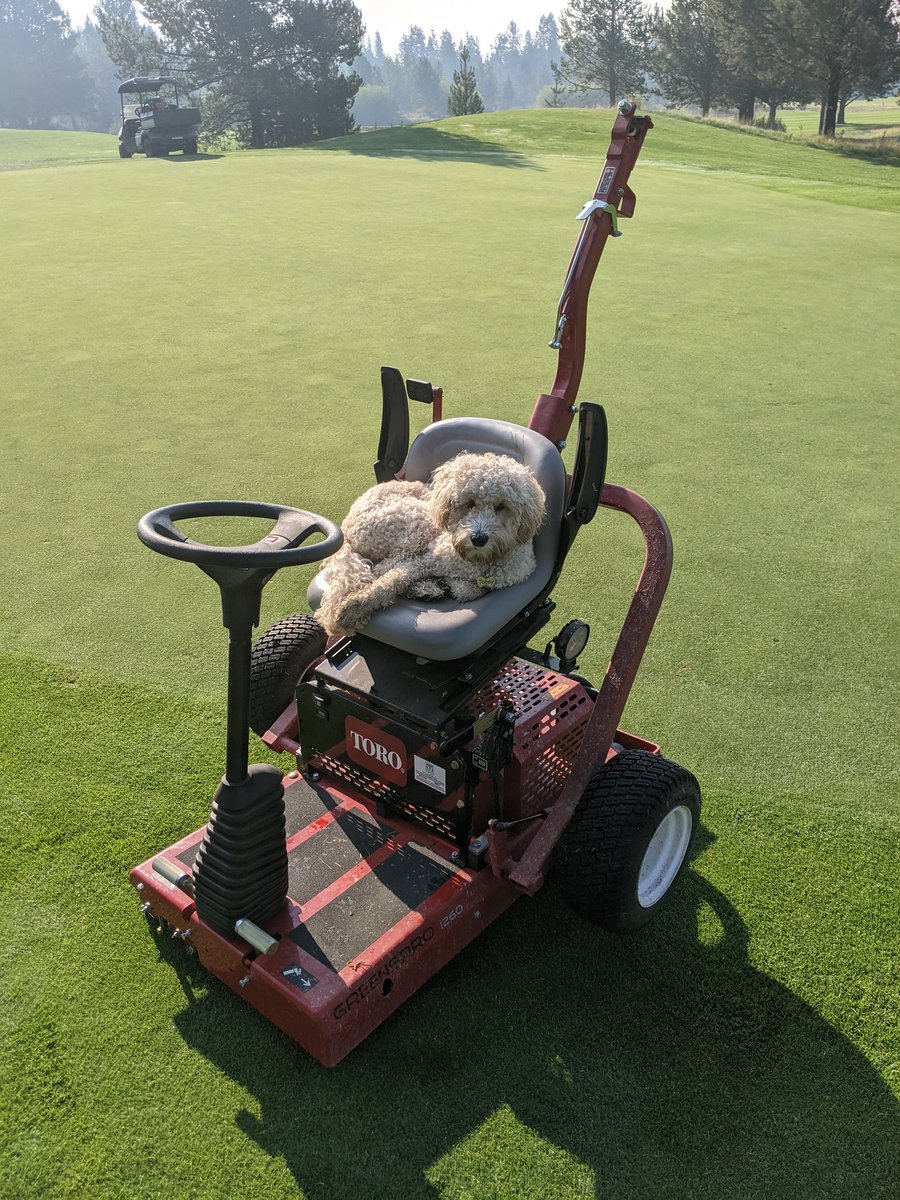 Jumped off the roller for a minute to pick up elk $hit. He wanted to keep my seat warm.