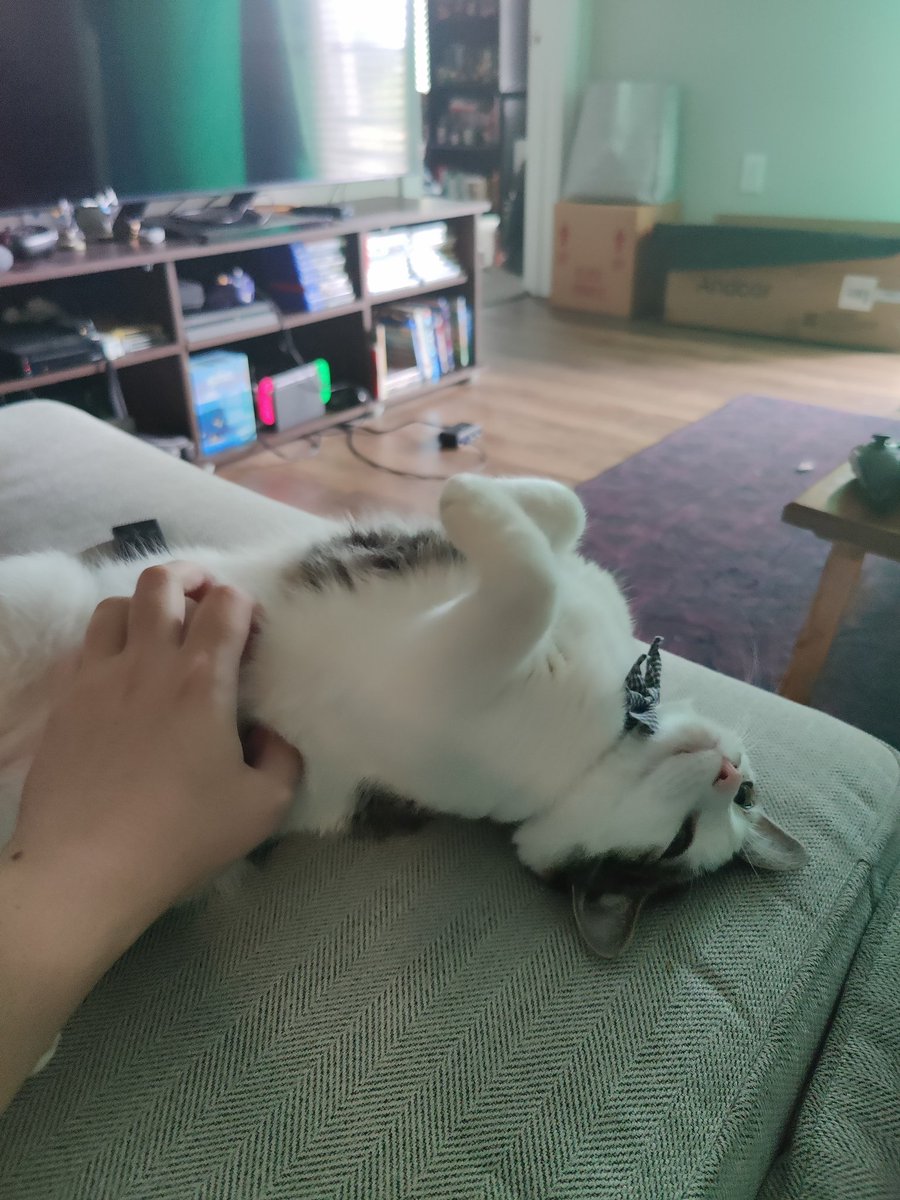 SirZenneth's tweet image. This is Elliott the Dumb Stupid Idiot, and he is the love of my life