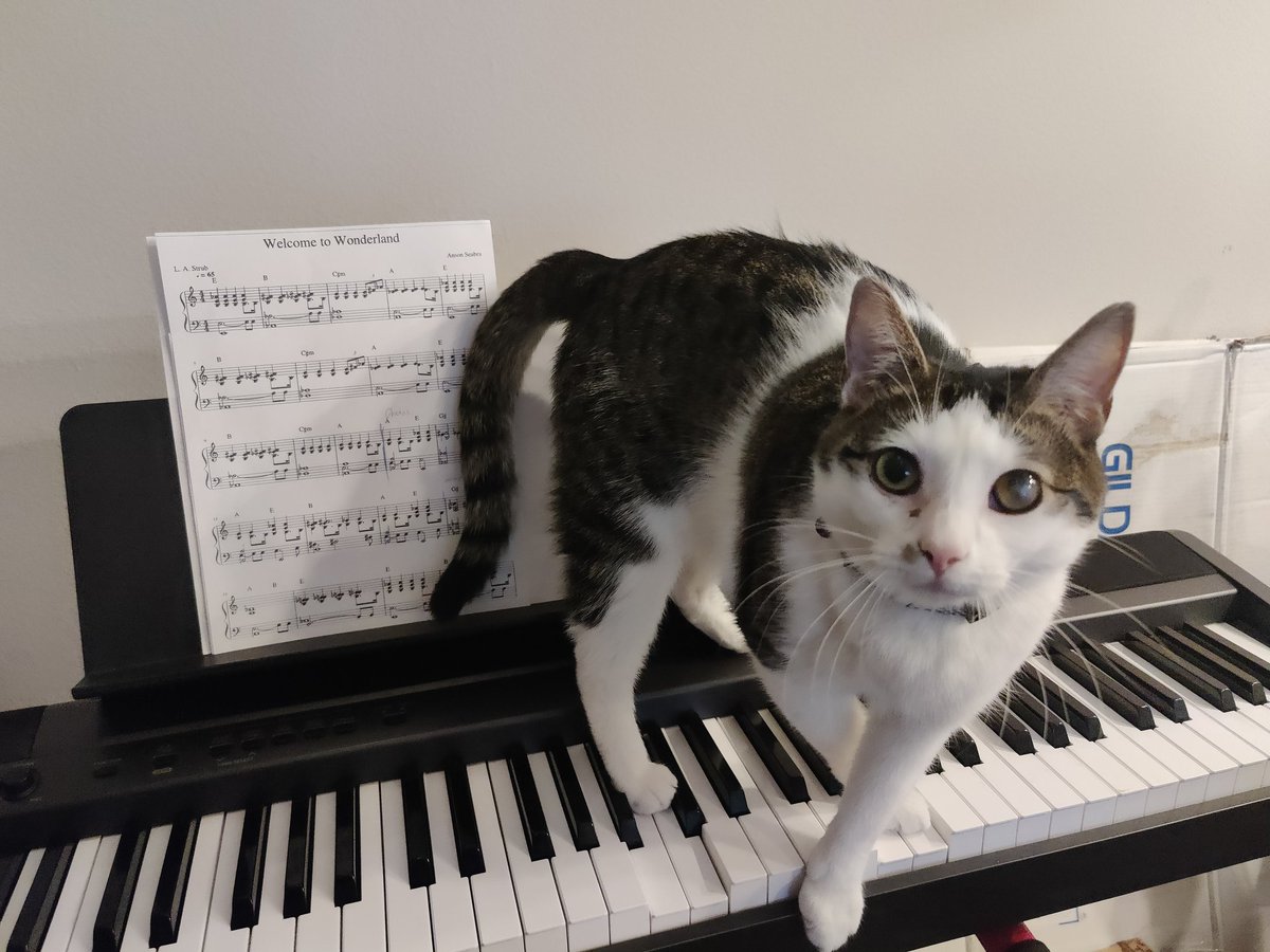 SirZenneth's tweet image. This is Elliott the Dumb Stupid Idiot, and he is the love of my life