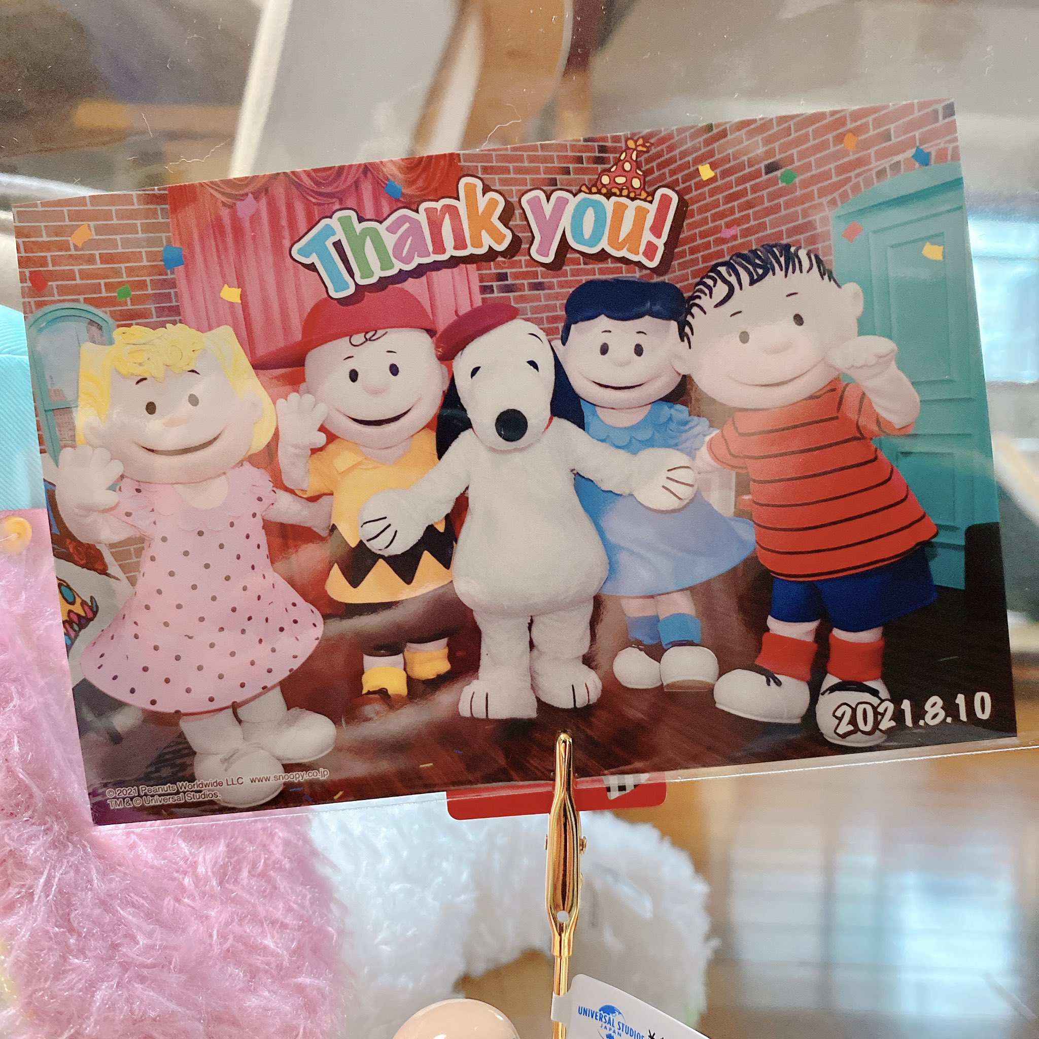 ライハナ スヌーピーグッズ スペシャルセット着ました 以前買おうか悩んだステンレスボトルが入ってて めちゃ嬉しい スヌーピーお誕生日写真もあるよー スヌーピーグッズ スペシャルセット スヌーピー Snoopy Peanuts Usj Usjファン