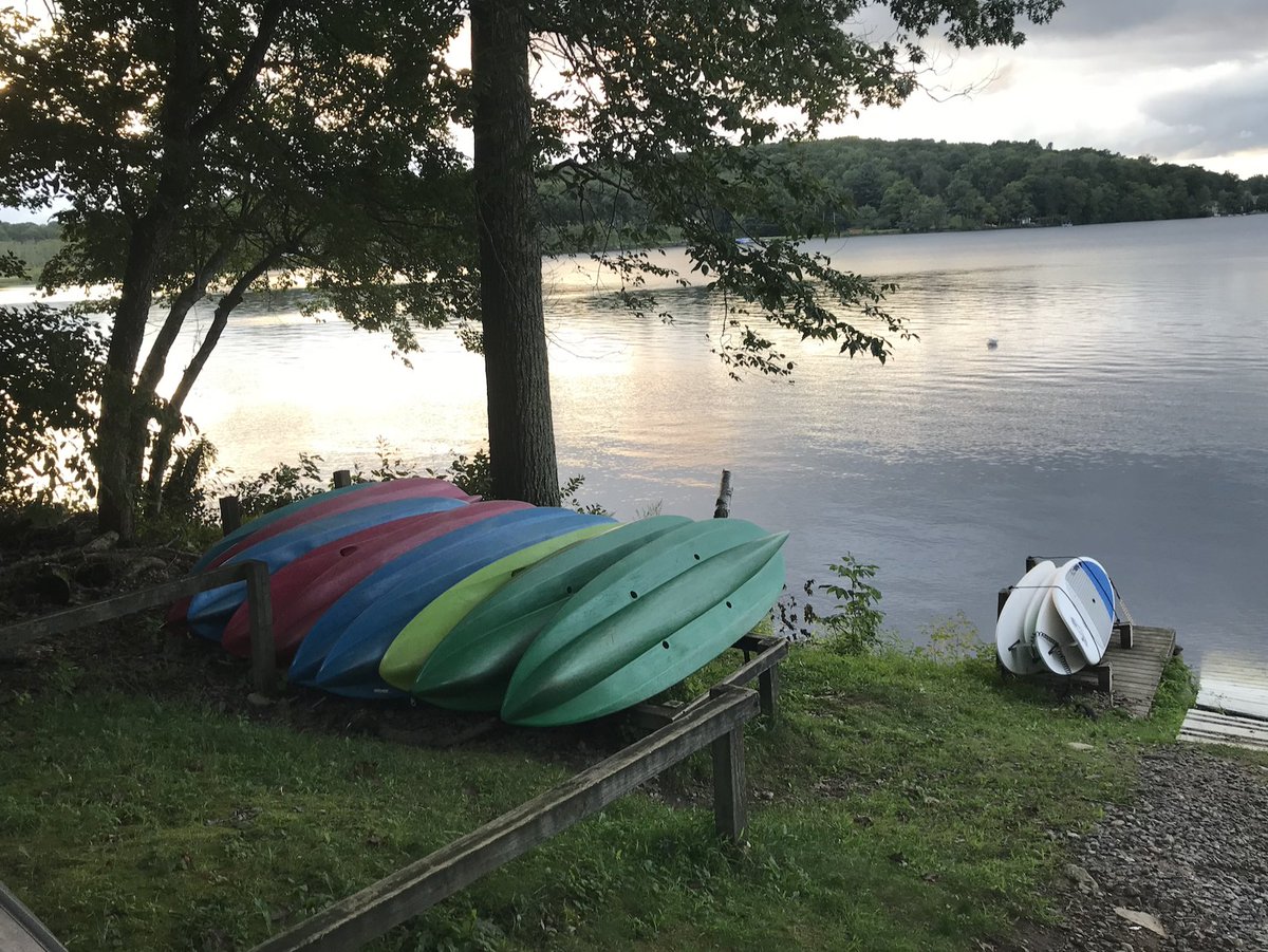 Dr. Robert Elder tweet media