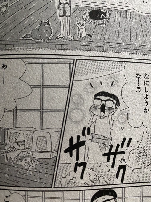 ねこぱんち発売しておりました!
今月はお留守番の猫と草太郎のお話です。
よろしくお願いいたします! 