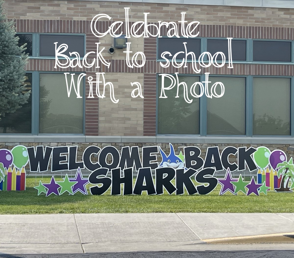 We are celebrating the beginning of a new school year with our photo op available for those who would like to capture a memory.  Welcome Back Sharks!