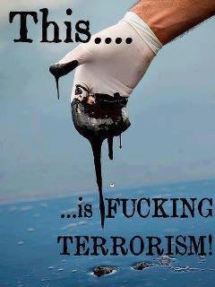 Inhumansoflate1's tweet image. #StopLine3Pipeline