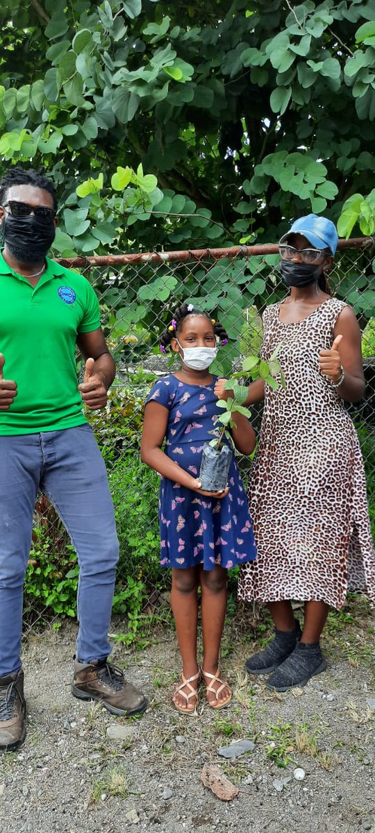 FoodForThePoorJ's tweet photo. In continuing our support of the Caribbean Tree Planting Project and as part of our #FruitsForThePoor programme, today #FoodForThePoor #Jamaica donated fruit and ornamental seedlings to the Pikibo Prandes Summer Camp Plant x Play initiative in #MooreTown, #Portland. https://t.co/x0L0lgPyze