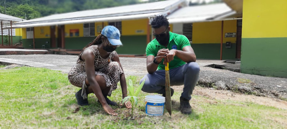 FoodForThePoorJ's tweet photo. In continuing our support of the Caribbean Tree Planting Project and as part of our #FruitsForThePoor programme, today #FoodForThePoor #Jamaica donated fruit and ornamental seedlings to the Pikibo Prandes Summer Camp Plant x Play initiative in #MooreTown, #Portland. https://t.co/x0L0lgPyze