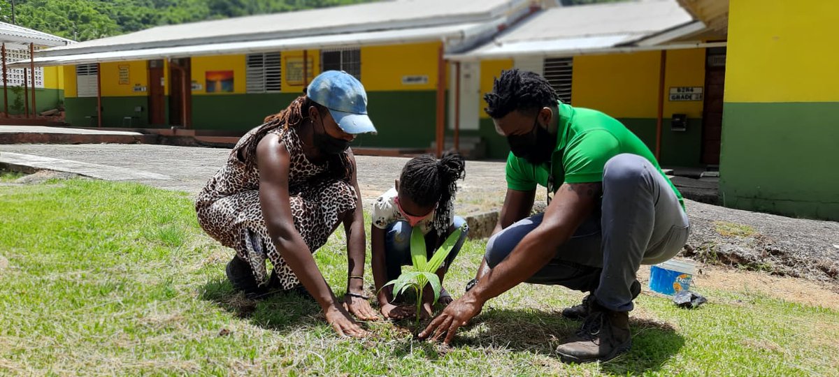 FoodForThePoorJ's tweet photo. In continuing our support of the Caribbean Tree Planting Project and as part of our #FruitsForThePoor programme, today #FoodForThePoor #Jamaica donated fruit and ornamental seedlings to the Pikibo Prandes Summer Camp Plant x Play initiative in #MooreTown, #Portland. https://t.co/x0L0lgPyze