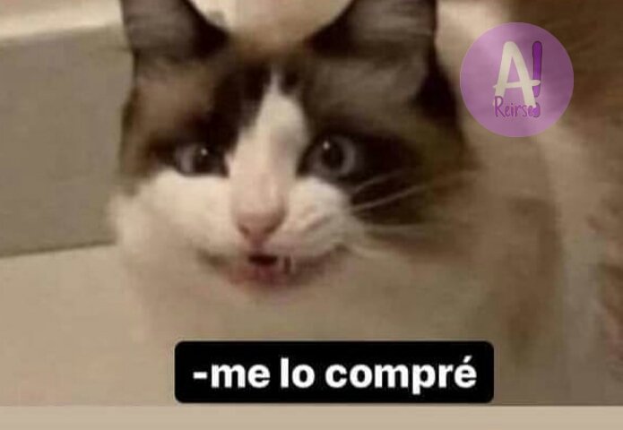 elespacioviral's tweet photo. "Sera que me lo compro?"
Cerebro: No.
Billetera: No.
Universo: No.
Yo: https://t.co/WwBfX1fcde