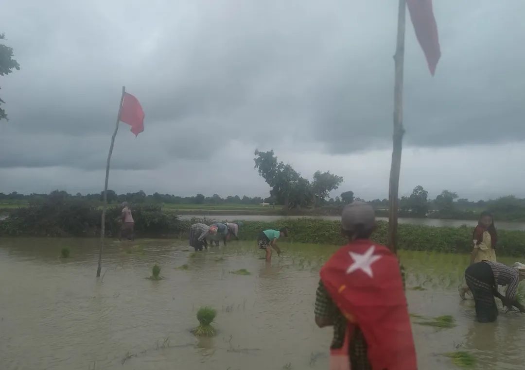 NEON70026157's tweet photo. Residents in Taze township protested with chanting slogans against Military Dictatorship while planting straw on August 17.

SIGN THE PETITION FOR NUG 

#Aug17Coup 
#WhatsHappeningInMyanmar https://t.co/8ME10MgqEW