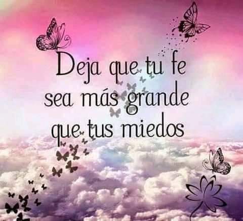 EnCuriosa's tweet photo. https://t.co/0NrumcO6XU