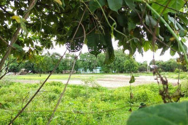 AwmyatH's tweet photo. In ShweBo tsp, Sagaing, SAC terrorists  stationed at a monastery, stormed all villages, and blocked off main roads since Aug11. Two elderlies passed away today while fleeing to the woodlands. #WhatsHappeningInMyanmar #Aug16Coup #RecognizeNUG https://t.co/5eYEHsq9gg https://t.co/1yUWCXzy9x