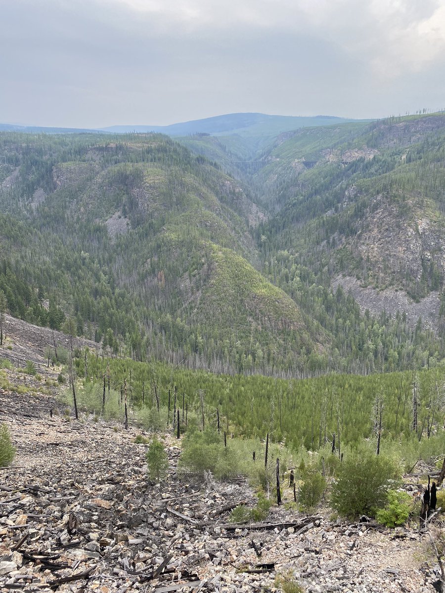 Edgecombe2John's tweet photo. Went to Myra Canyon near Kelowna, BC today - there was a wildfire there in 2003 - interesting to see the regrowth over time https://t.co/t3m5JjCD04