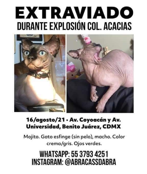 HuesotesV's tweet photo. Ayuda @BJAlcaldia @coloniaAcacias https://t.co/V90UK5p8IA