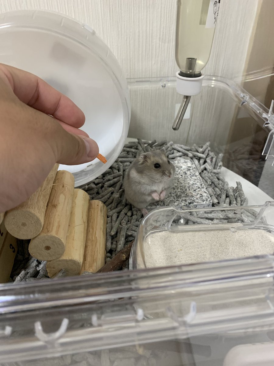 むづ。 tweet media