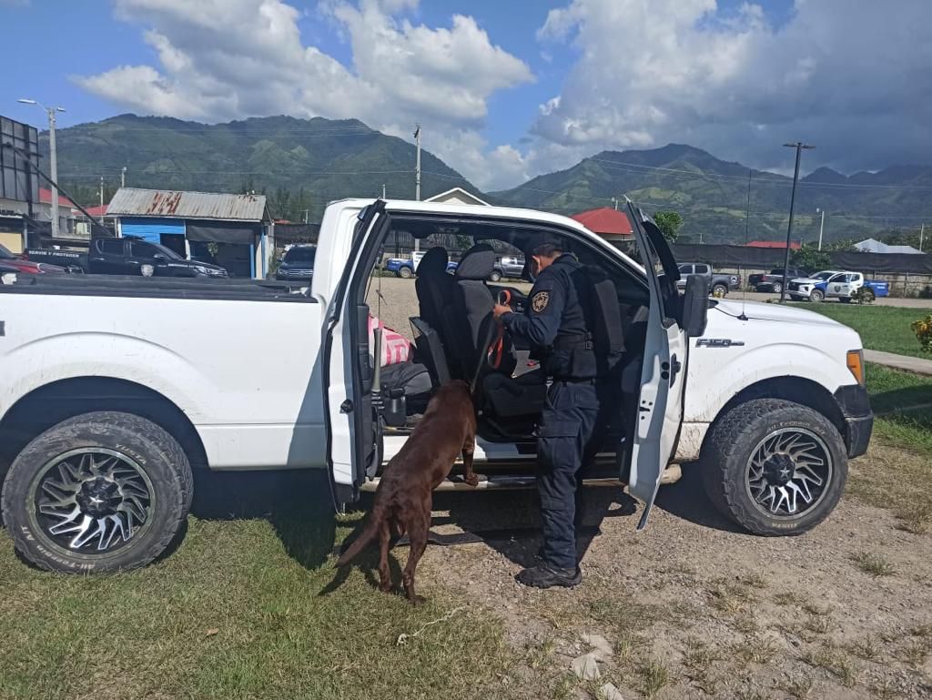 PoliciaHonduras's tweet photo. #PoderPerruno 👮🏻♂️🐶
Gracias a la ayuda de nuestro #agentecanino Drago que con su olfato muy desarrollado ayudó a encontrar kilos de droga oculta en un vehículo en #Atlántida 👏🐕
Bravo campeón 🙏🐾 https://t.co/SqSCRp1O5S