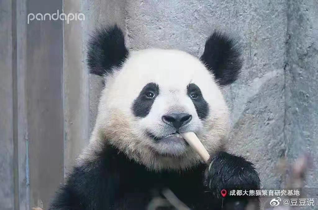 👉Forever love👈