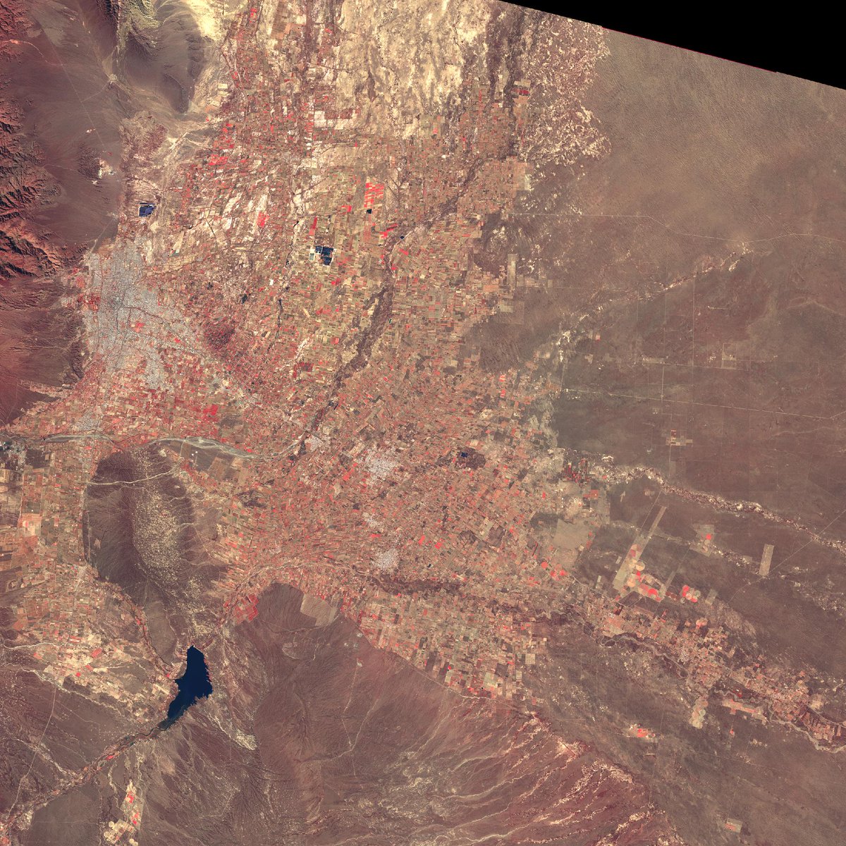 sentinel_bot's tweet photo. NIR-R-G Image of Argentina (-33.13, -68.35) from the 13th of August, 2021 #ESA #EU #Argentina #Sentinel #space https://t.co/Lu7eHxHNts https://t.co/IrozvJRsHU