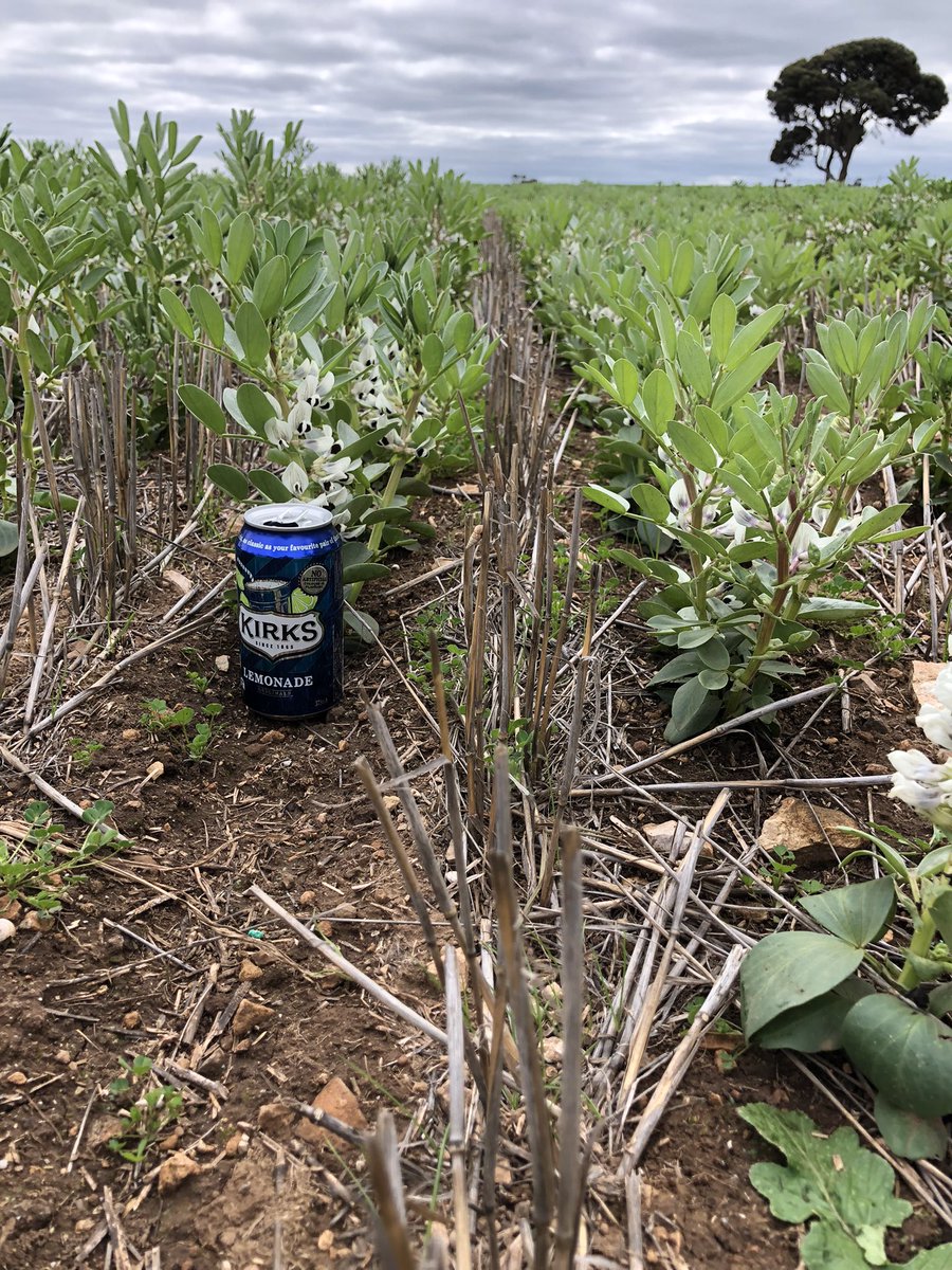 Adam Cook tweet media