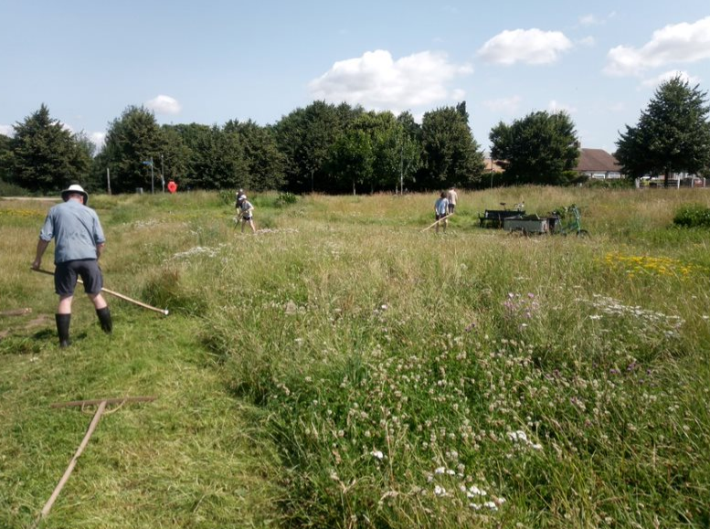 StNicksFields's tweet photo. With summer well and truly in the air, tis the season for scything! Our wonderful Eco-Active volunteers started to mow the meadow at Millennium Fields during their last session – hard work in such high temperatures! https://t.co/UOzlnqX7hx