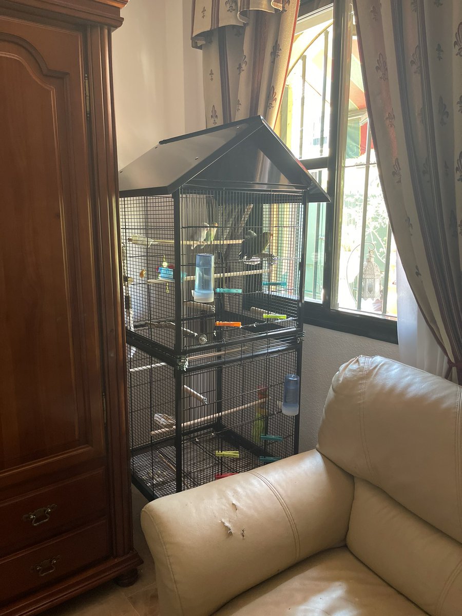 inmacampanoo's tweet photo. Ya tienen su jaula nueva montada 🦜🦜🦜🦜🦜🦜❤️ https://t.co/t6CzpMM8bi