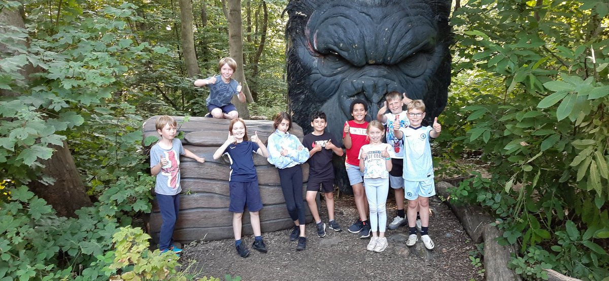 Great start to our cub camp.  Cubs enjoying a tree top adventure at Go-Ape