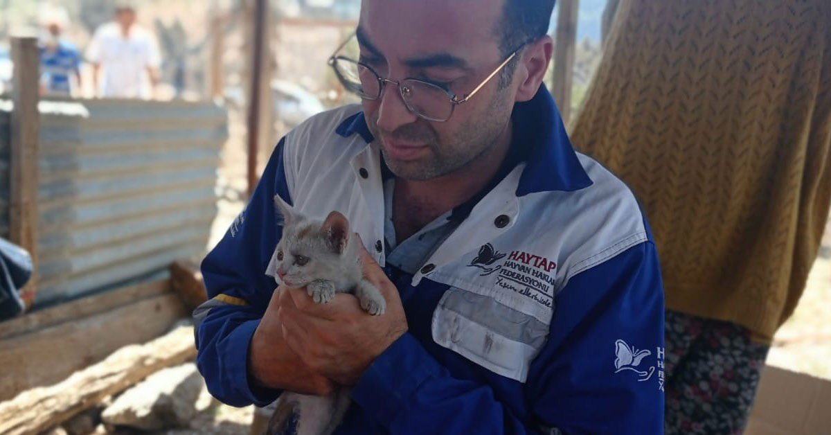 BKMExpress's tweet photo. Sokaktaki canların yardımına koşan HAYTAP’a bağış yaparak destek olmak için tıklayın 👉🏻https://t.co/5FKl6Tc73Z 
@HaytapOfficial https://t.co/DXNxi1nO4Q