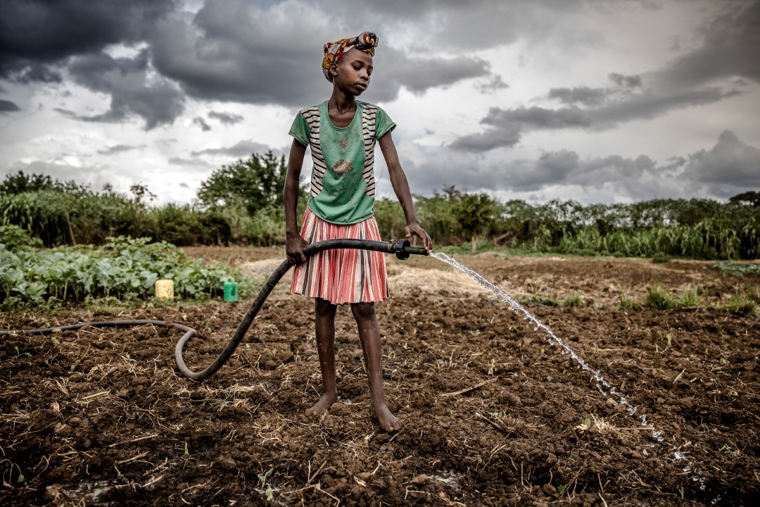 FAO in Uganda (@faouganda) on Twitter photo At 61%, Karamoja’s poverty rate is ~ 3times Uganda's national poverty rate of 21% & 20 times that of Kampala (3%)
We need innovations and joint action to ensure that we do not leave Karamoja behind on our journey to #ZeroHunger.  
#HealingWithkKaramoja At 61%, Karamoja’s poverty rate is ~ 3times Uganda's national poverty rate of 21% & 20 times that of Kampala (3%)
We need innovations and joint action to ensure that we do not leave Karamoja behind on our journey to #ZeroHunger.  
#HealingWithkKaramoja