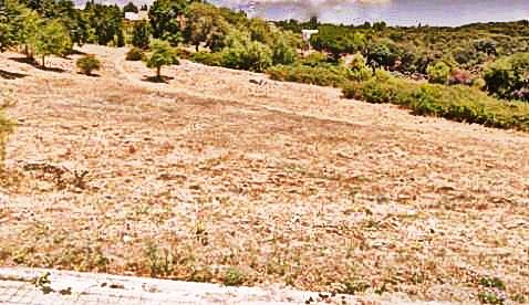 Onda Torre tweet media